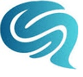 Synapse Data